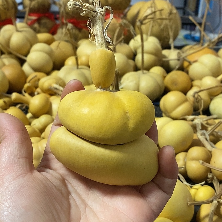 葫芦的颜色很好看