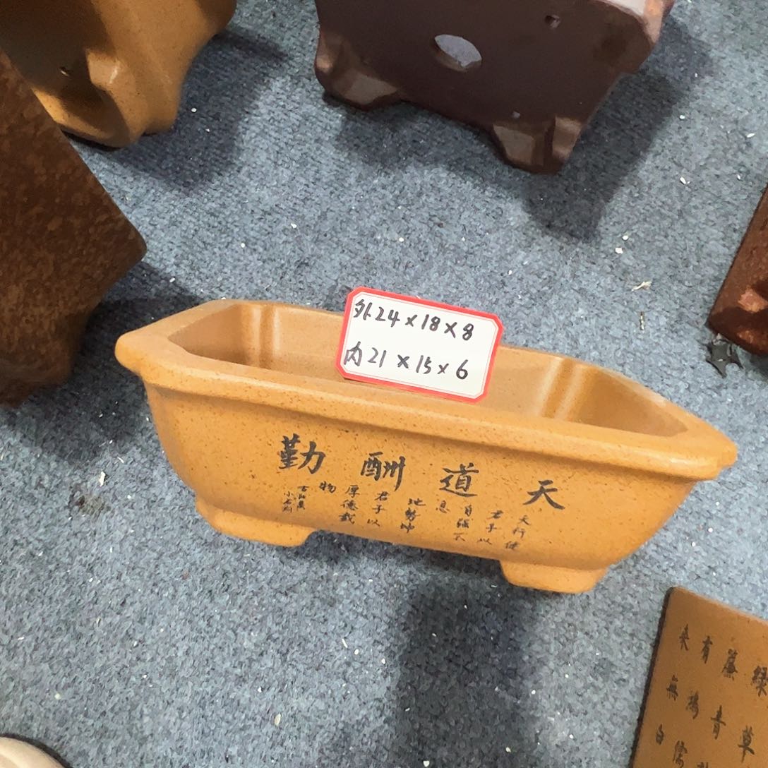 紫砂其他紫砂花盆