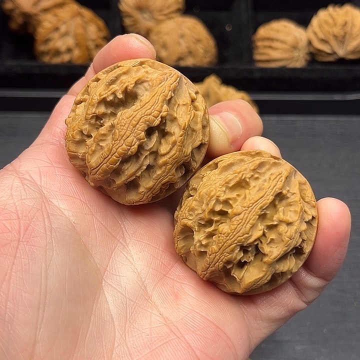 木质类秦岭突突突突突突突突