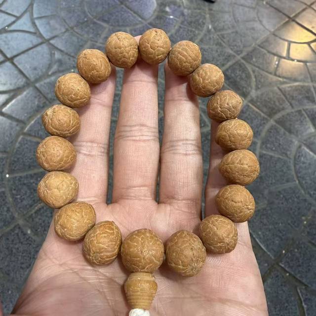 【地主专属】28 G33713-凤眼黄金瞳手持-多样性发其一-13-14mm