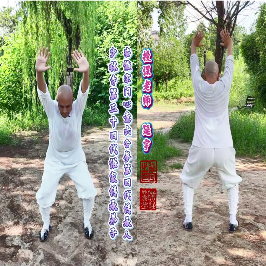 活身功-周身之法（视频课）