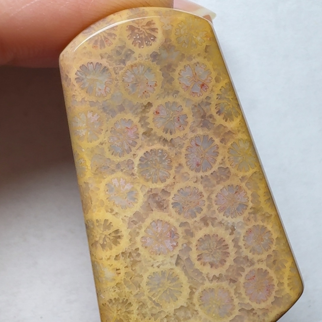 硅化玉微妙的花色未镶嵌