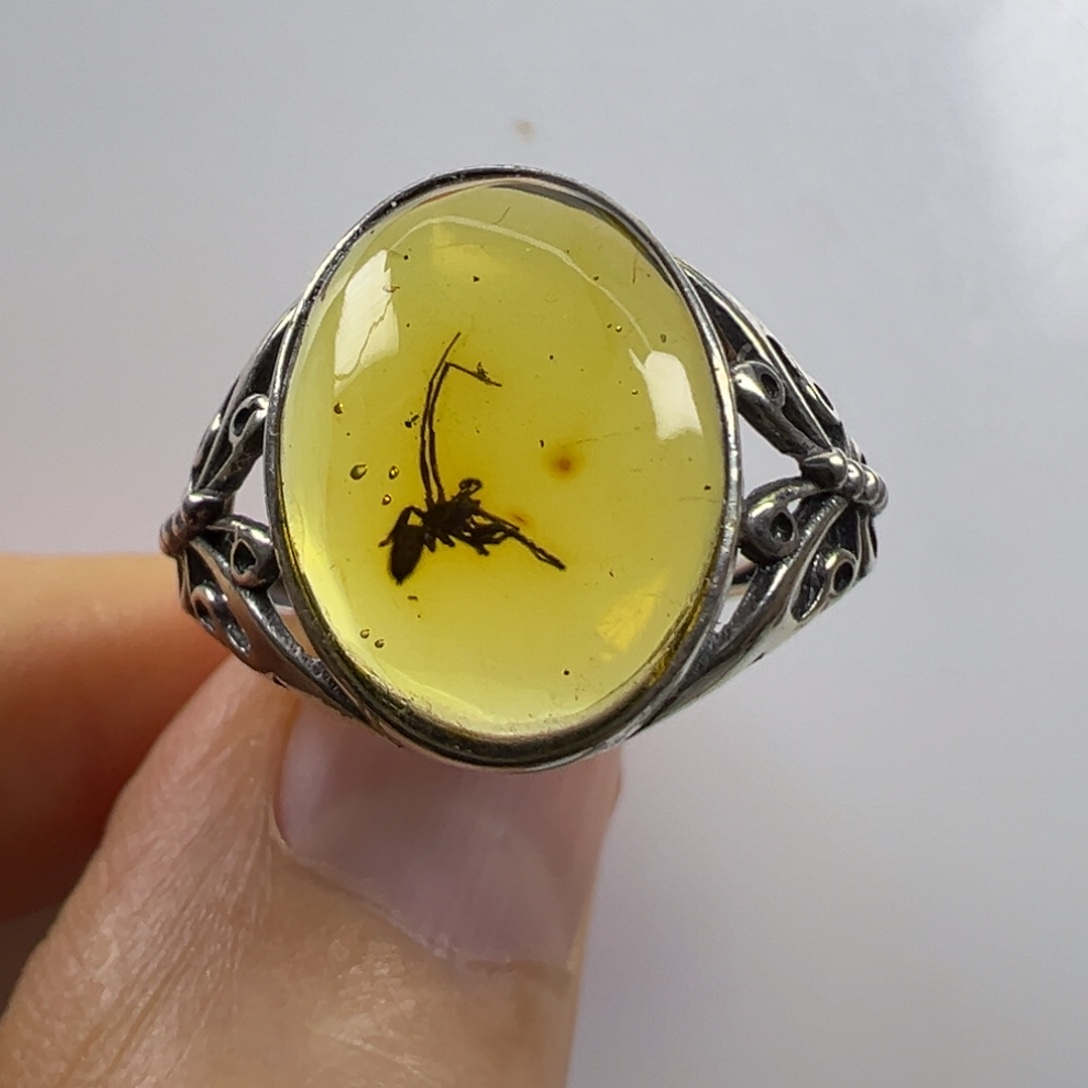 裸石琥珀未镶嵌琥珀虫珀