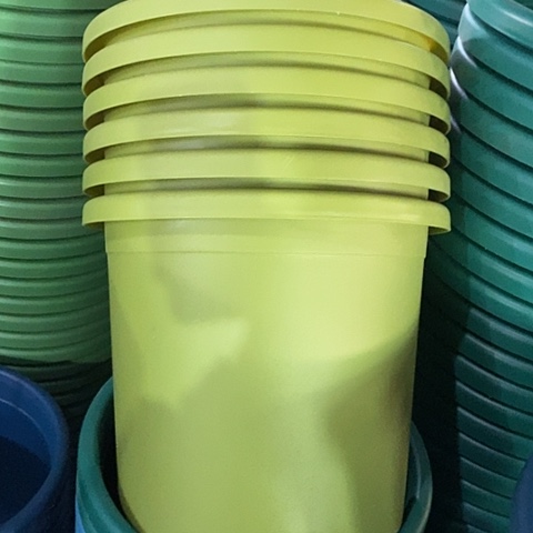 树脂微瑕5号6个带托果绿