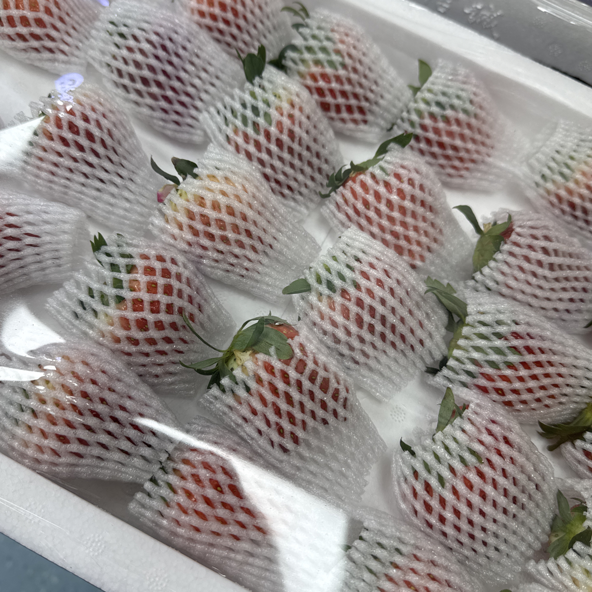 草莓超甜超好吃不空心（一板）