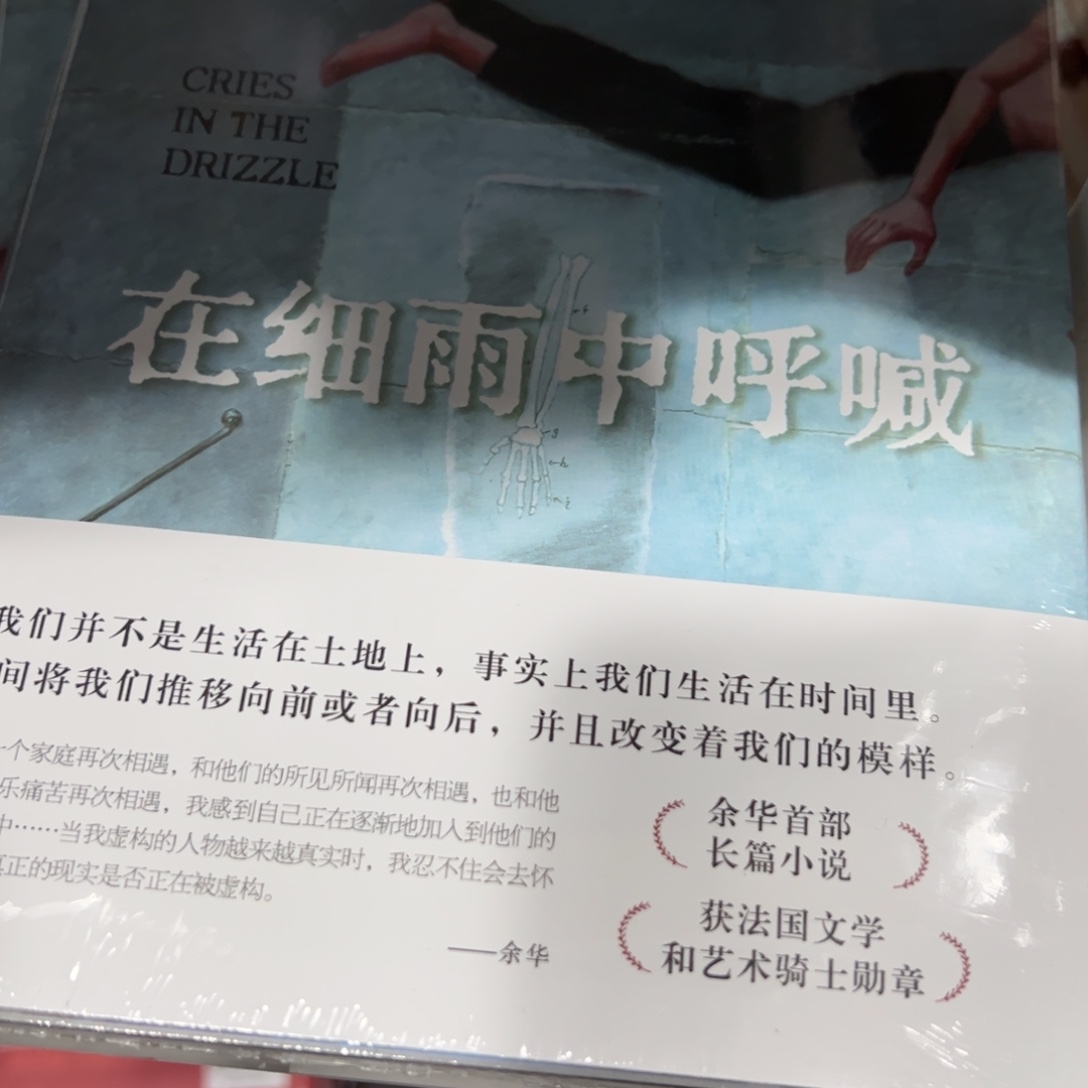 在细雨中呼喊精装一个