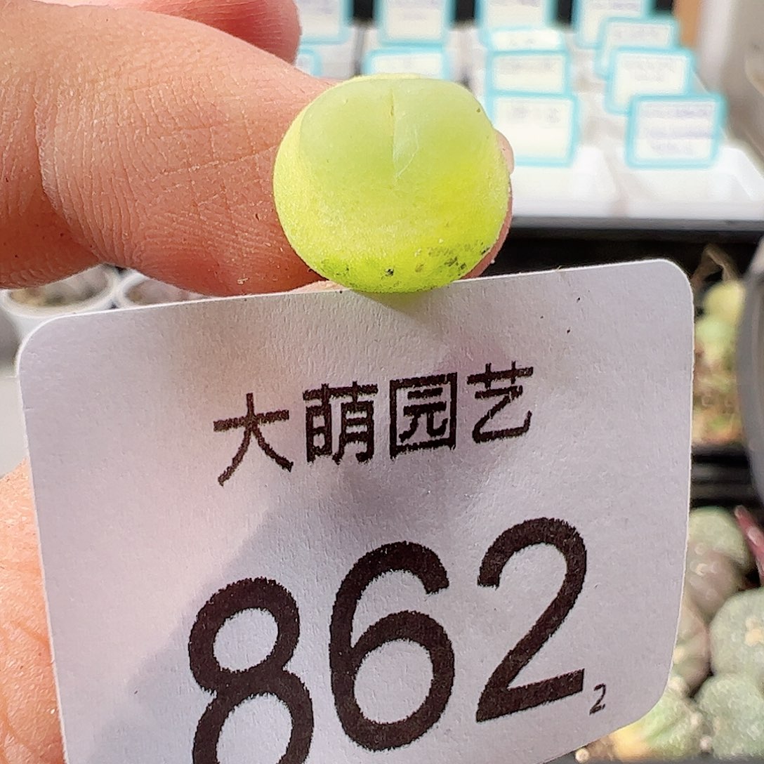 0000862 一物一拍……