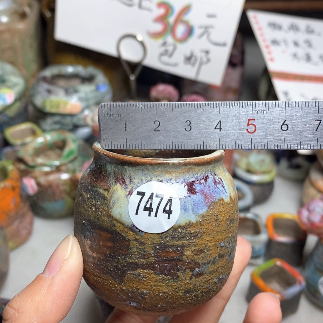 花盆拍5送一个小礼物