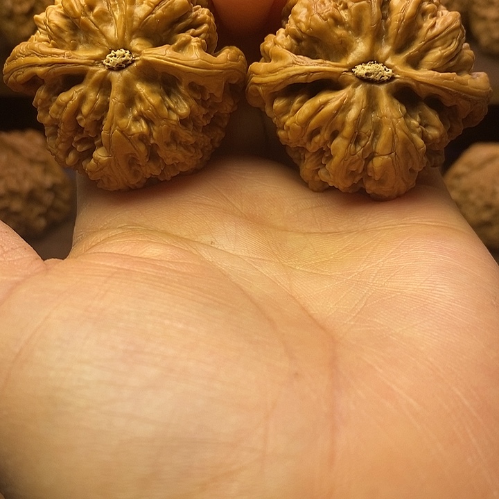 阔***野60CM（含）-120CM（不含）半透