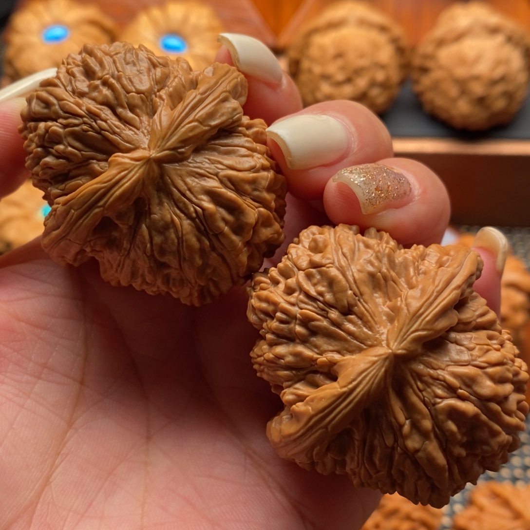 文玩核桃把件43大肚子白狮子