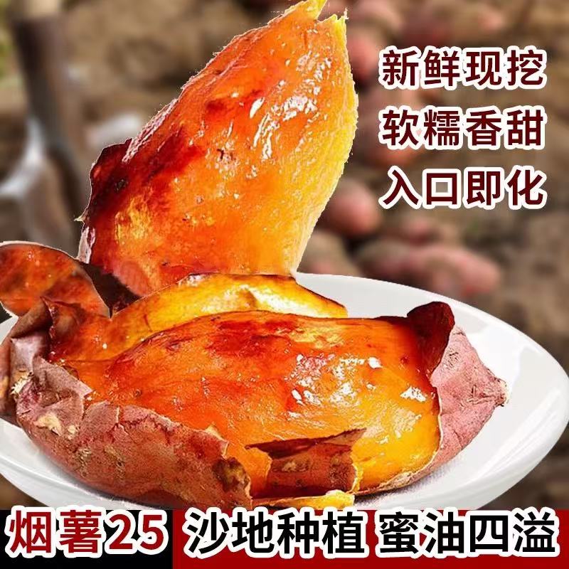 烟薯25号 糖心蜜薯新鲜现挖流油超甜沙地番薯包邮