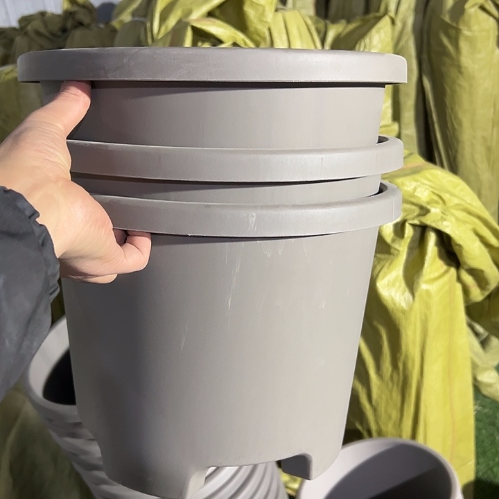 串色31外径24高3个盆大球根