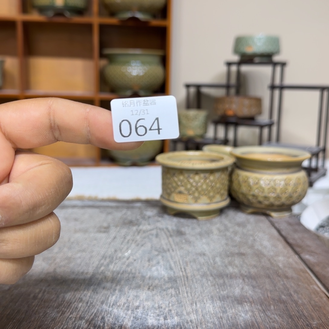 用***0064 一元 福利 随机花盆