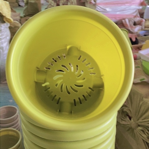 特价3号无托果绿10个