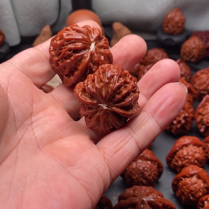 核桃吻*色金麒麟核桃