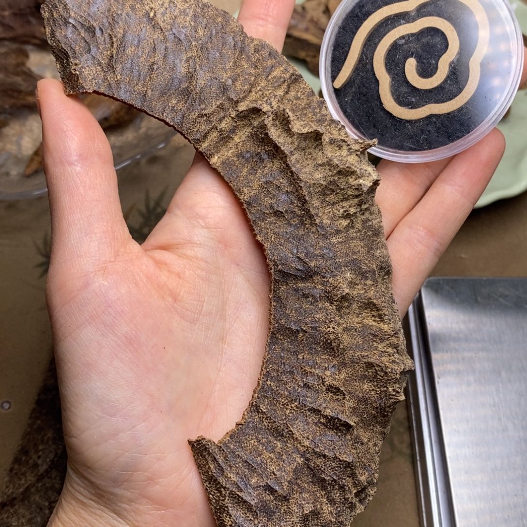 哦***哈海南14克。             