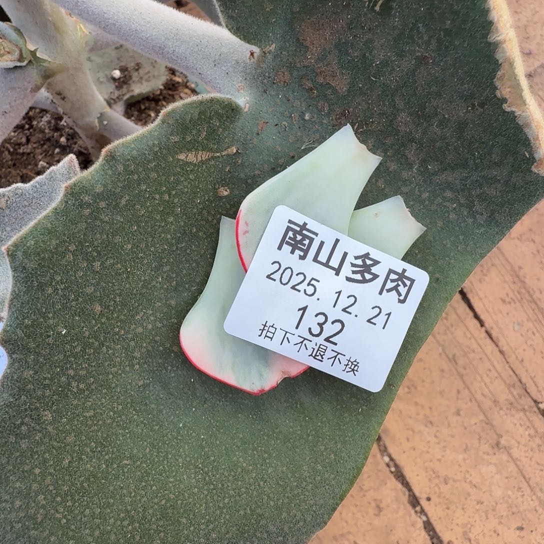 姬***君剑司叶子11111221-132