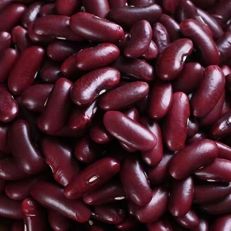 1斤 红腰豆 农家自种大粒红芸豆