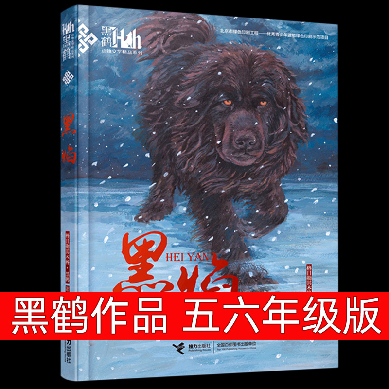 【官方正版】黑焰黑鹤动物文学精品系列小学生三四五六年级课外阅