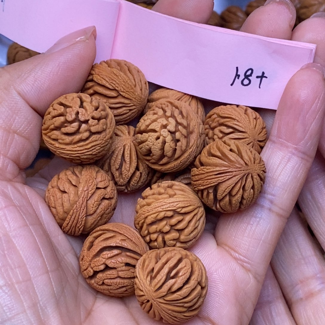 秦岭龙纹桃核14颗