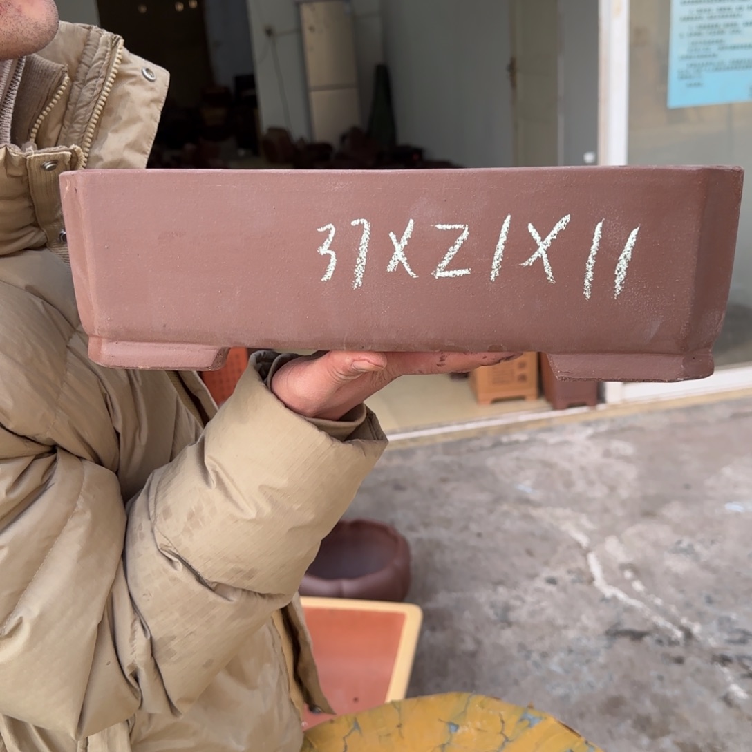 紫砂花盆呜呜呜呜