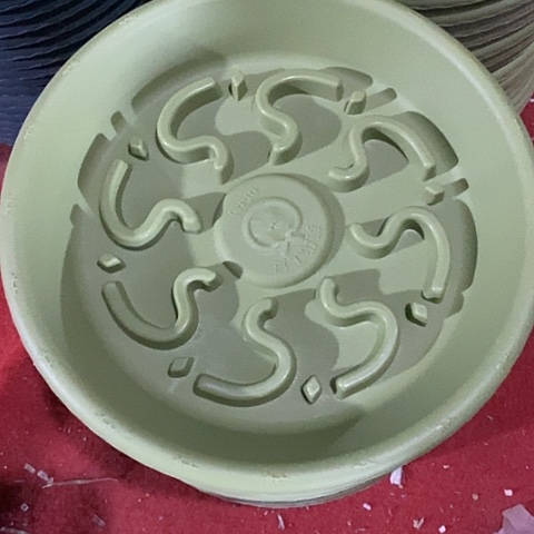 树脂180托盘果绿20个