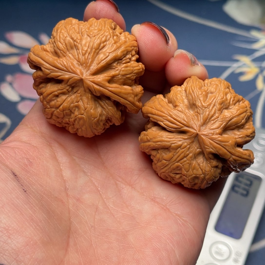 文玩核桃把件粗筋42