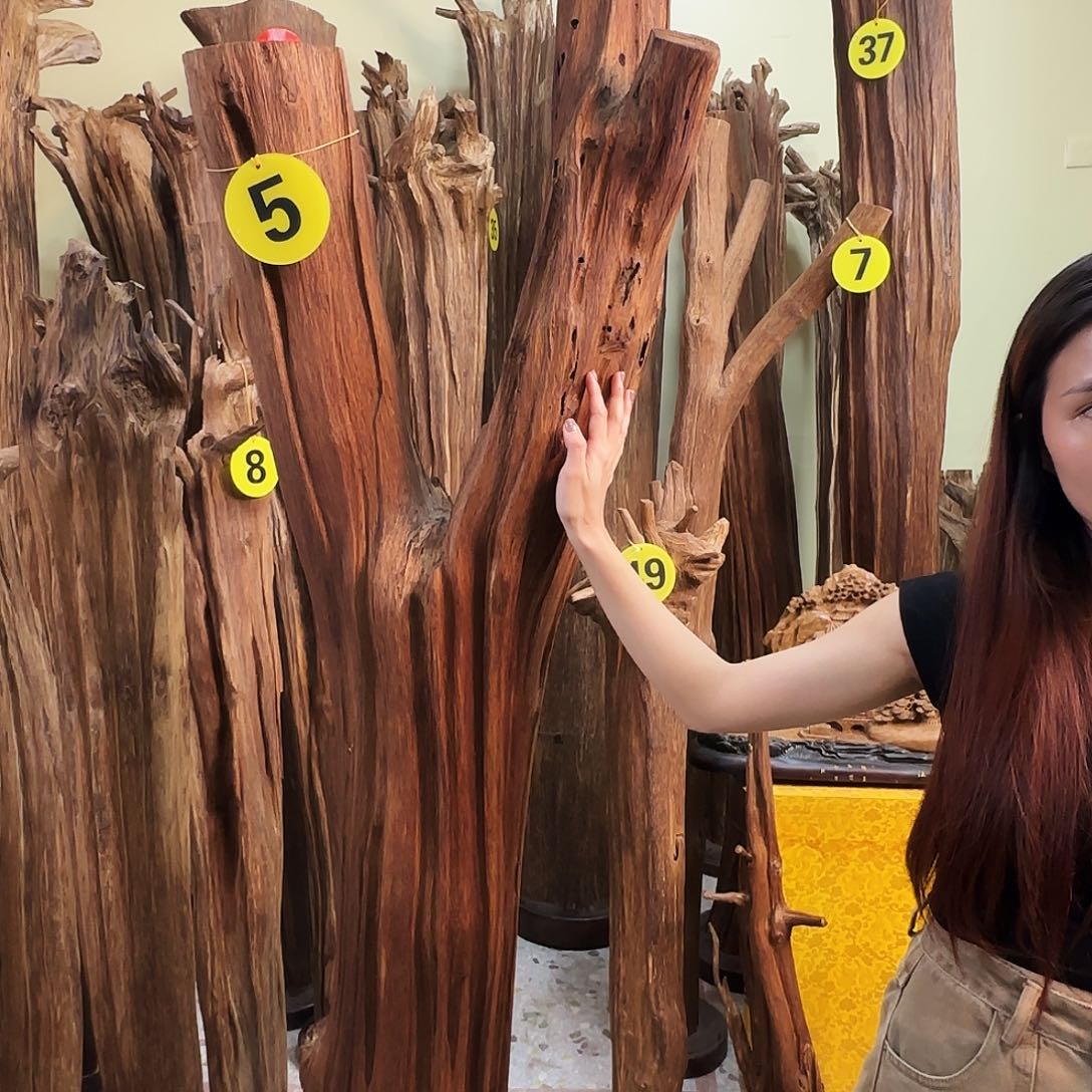 亚***模沉香碎屑沉香天然沉香原材料香料熏料