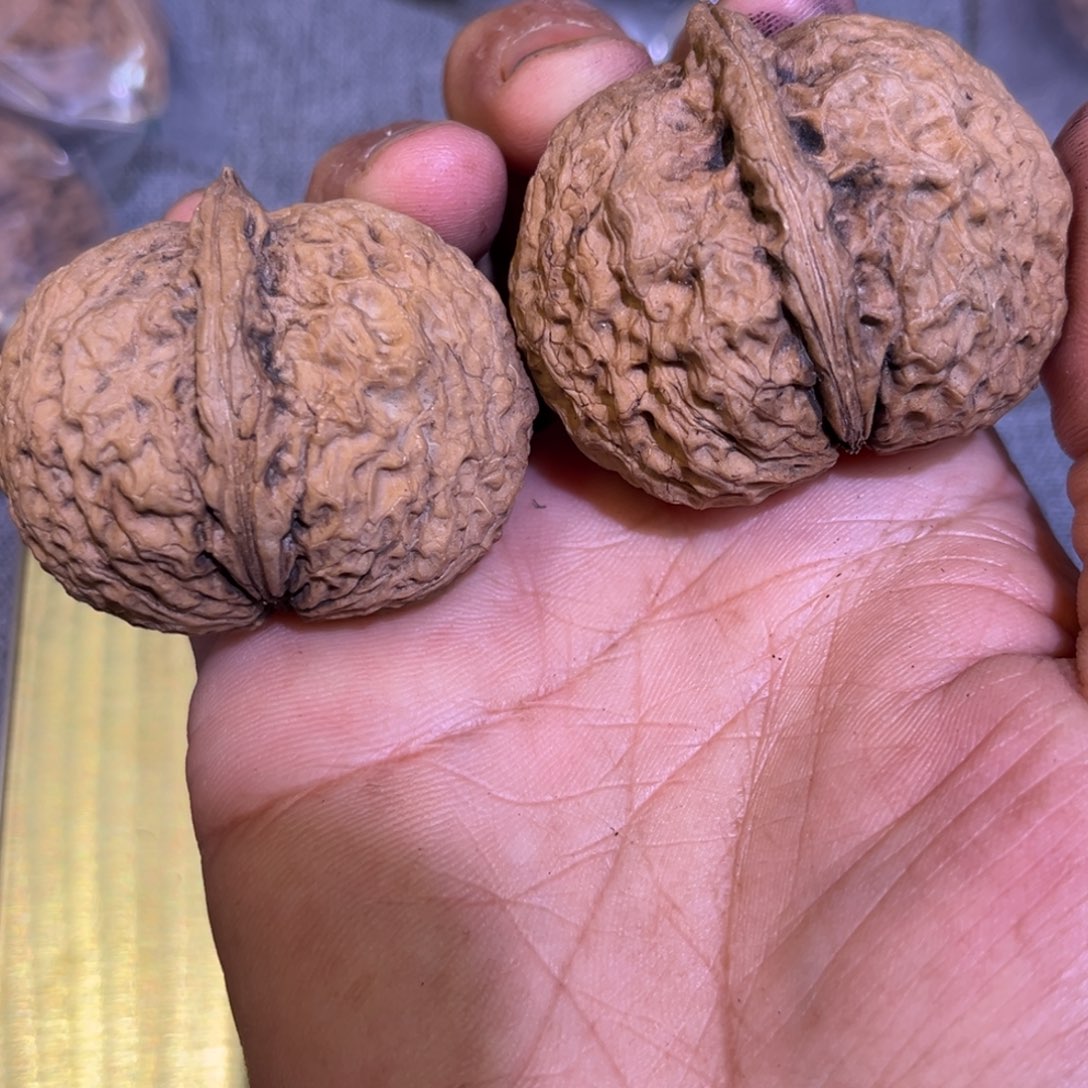 把件文玩核桃红旺云铁30号44mm