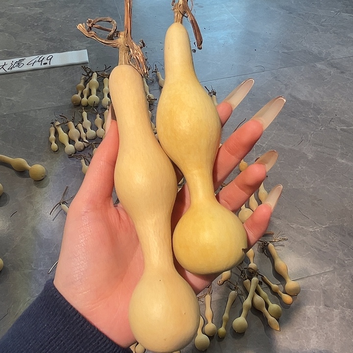 カ***キ葫芦葫芦葫芦葫芦