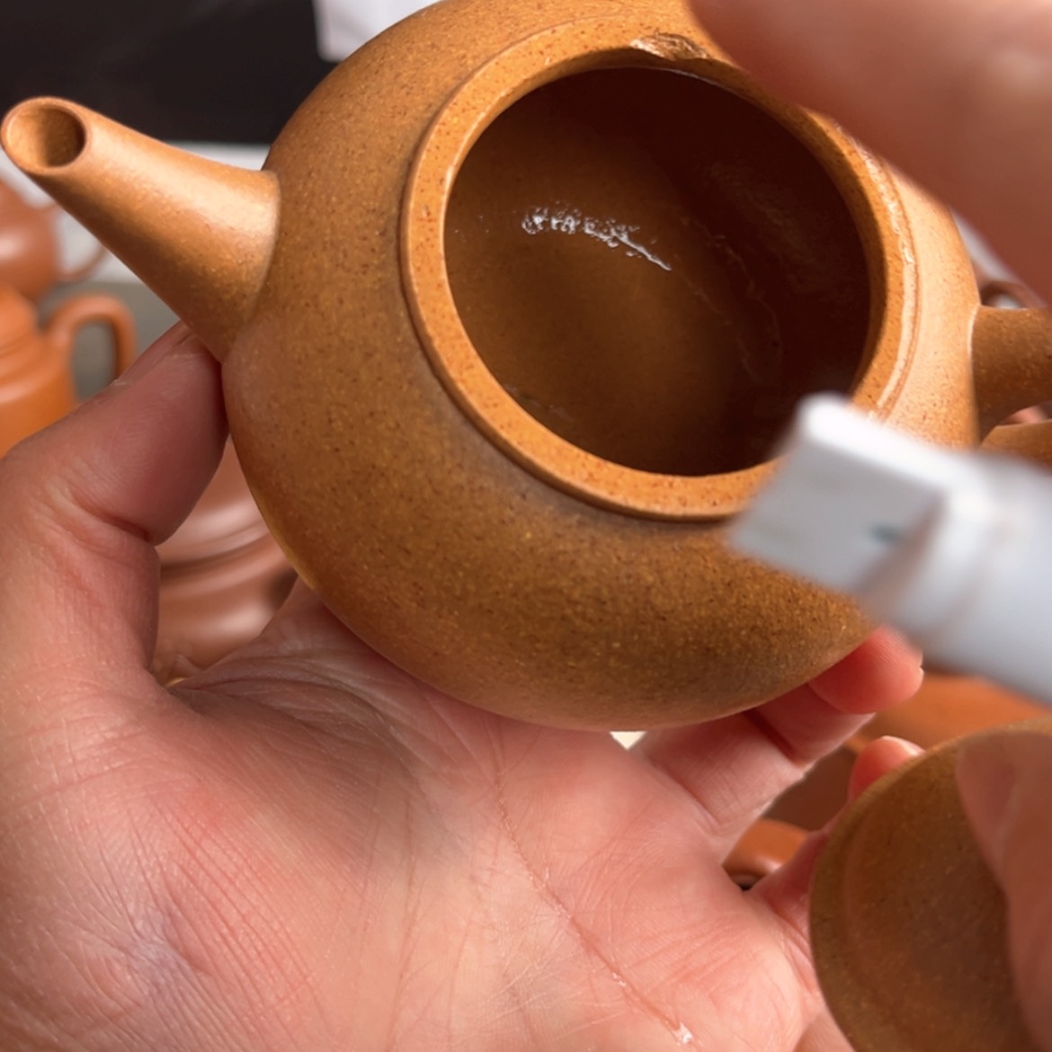 【闪购商品】猫***袋呼呼呼呼呼呼壶壶