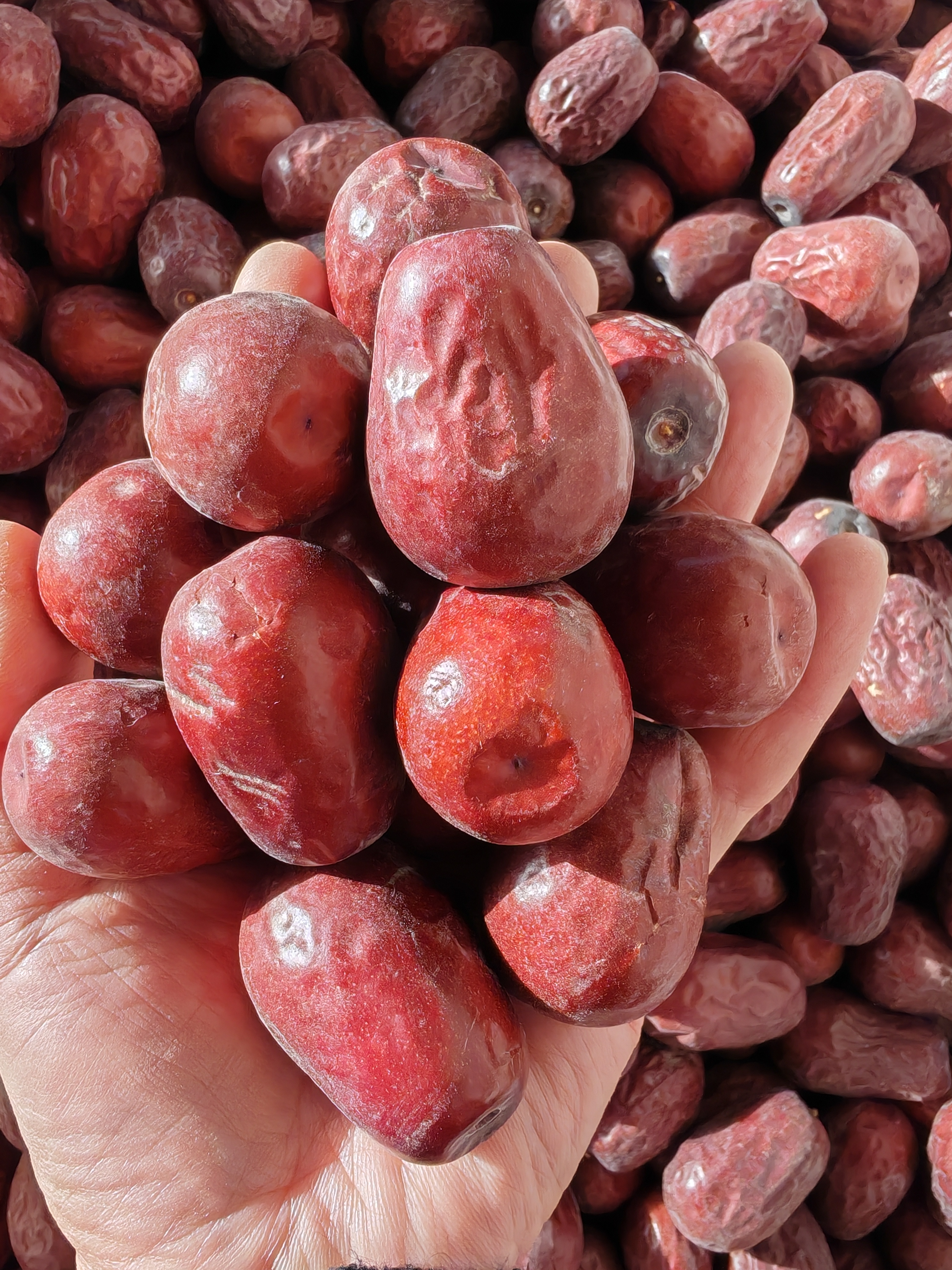 吊干大枣小光头树上自然吊干未清洗3-3.5厘米