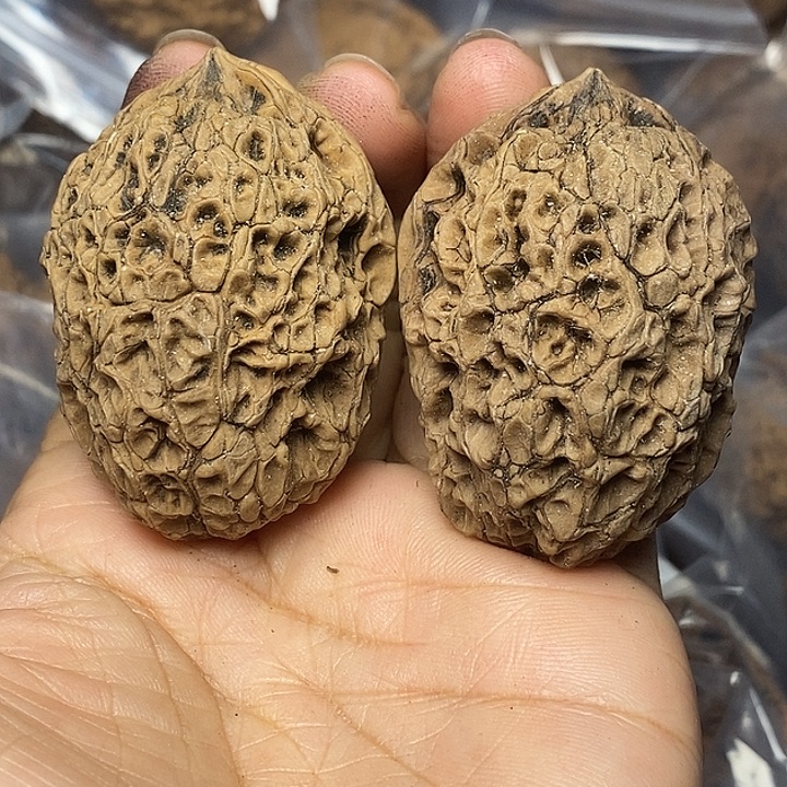 把件文玩核桃云南铁核桃97