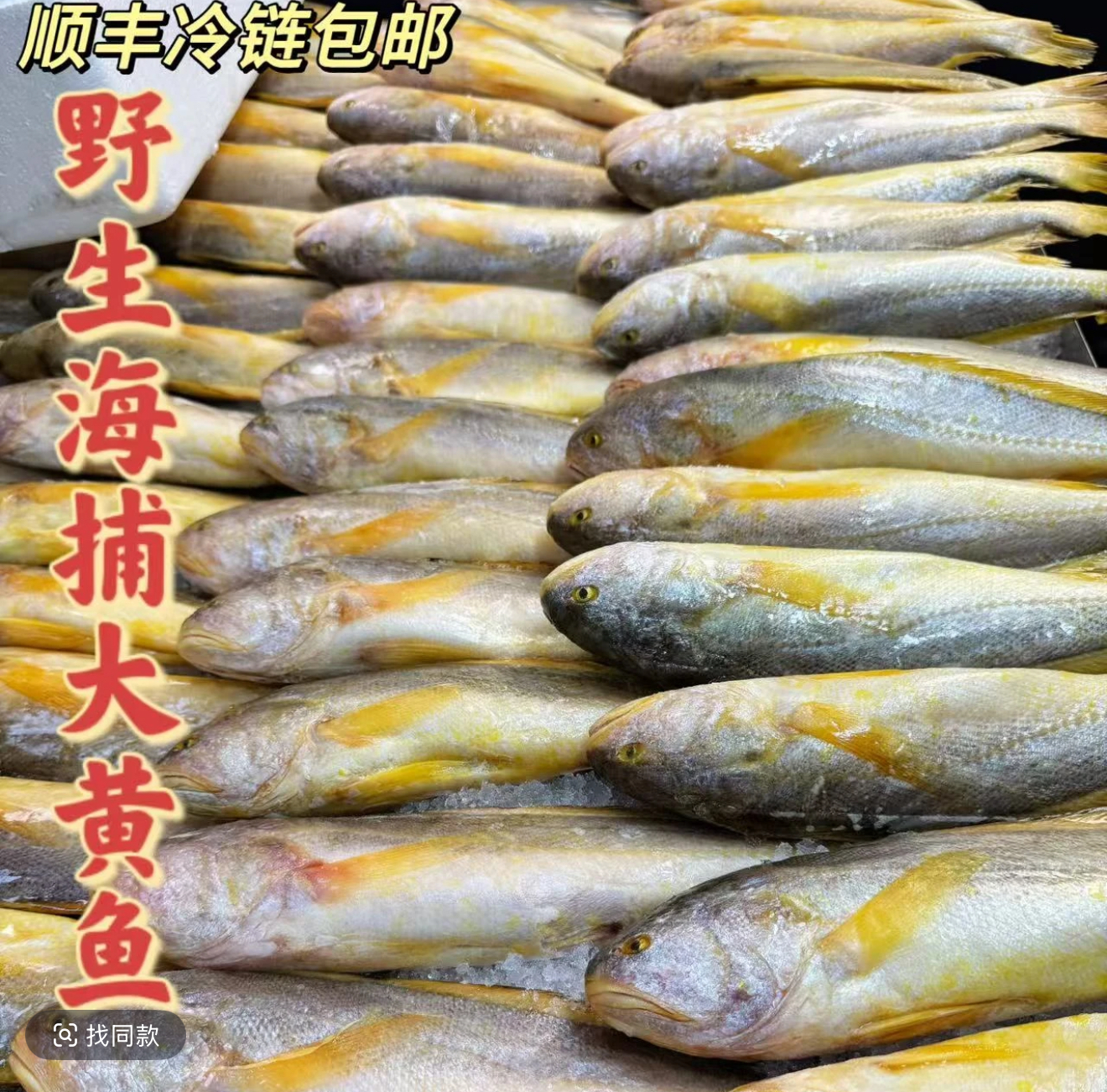 22渔码头 野生海捕黄鱼  250g左右/条  新鲜 生鲜 深海 黄鱼8条