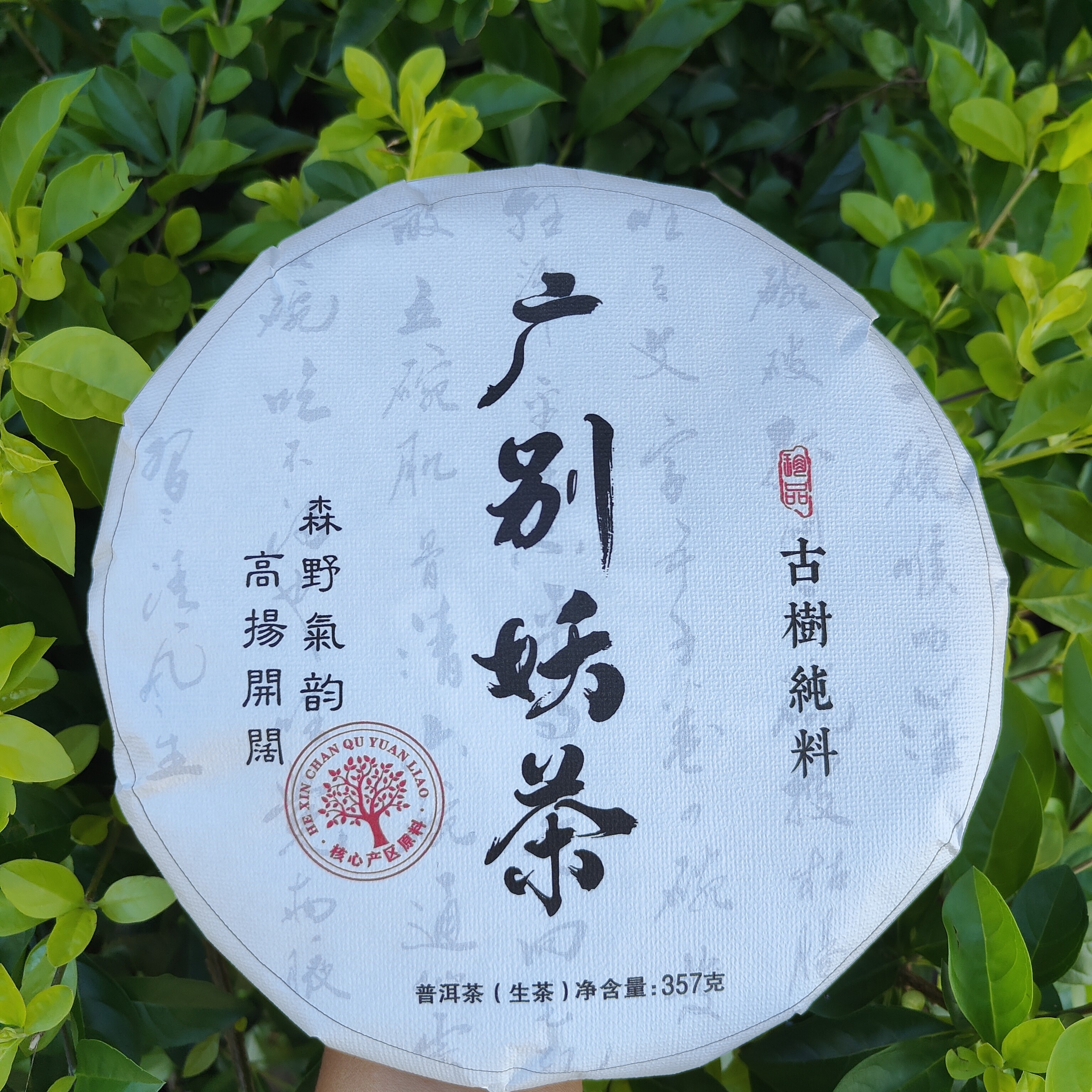 广别妖茶生普2020年（水含香汤香口感霸气回甘生持久）