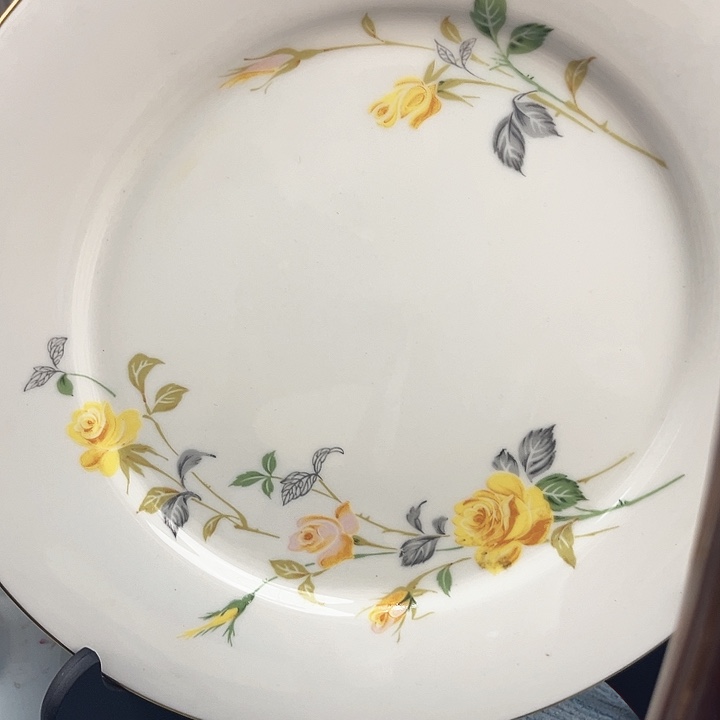 星***里瓷片瓷片瓷片瓷片