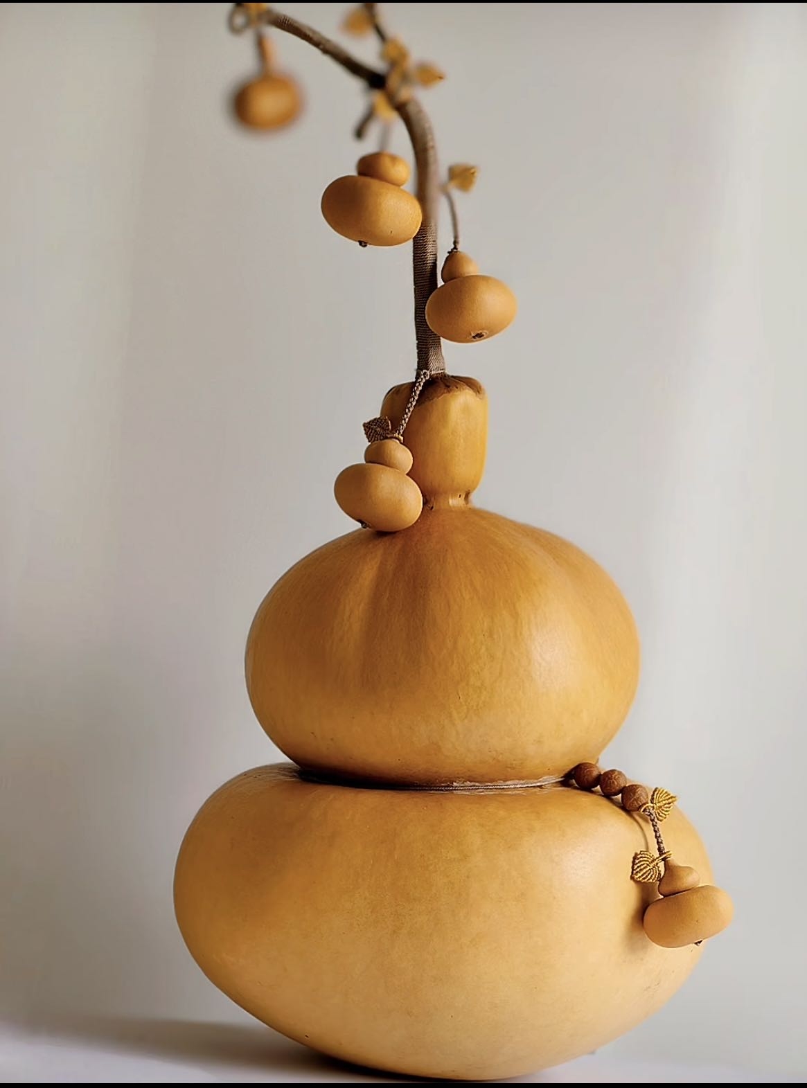 天然葫芦，直播间选购链接