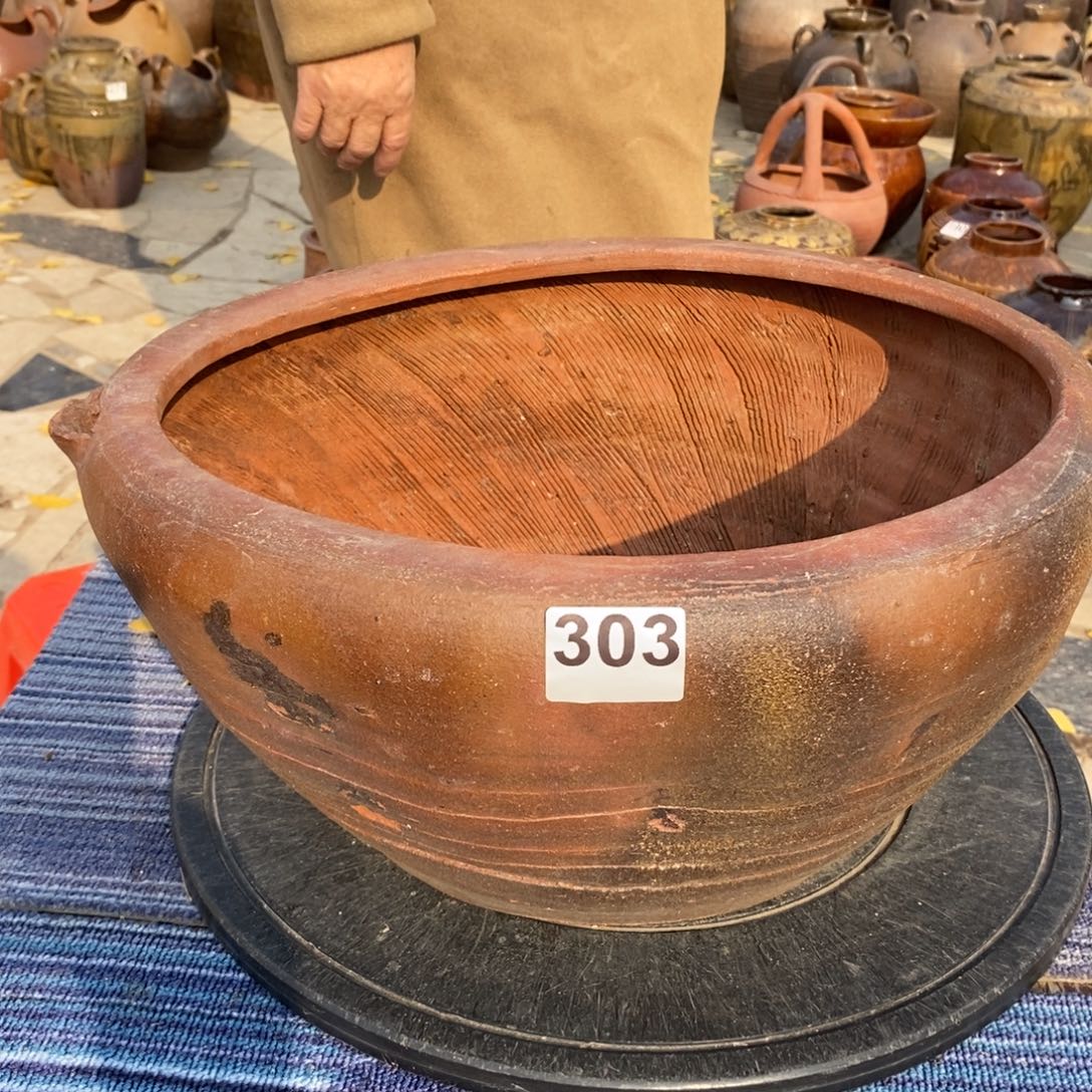 1***7罐养花养花养花养草养花养种养花