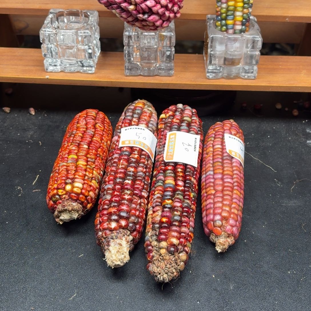 日***红银S925七彩宝石文玩玉米