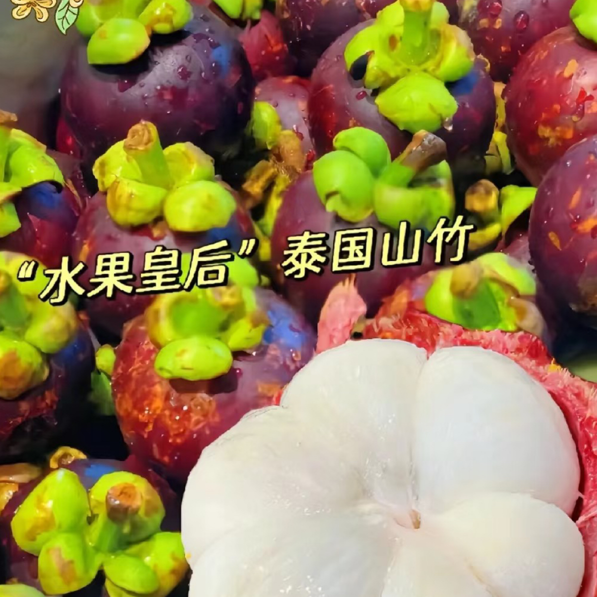 泰国山竹油竹2斤装