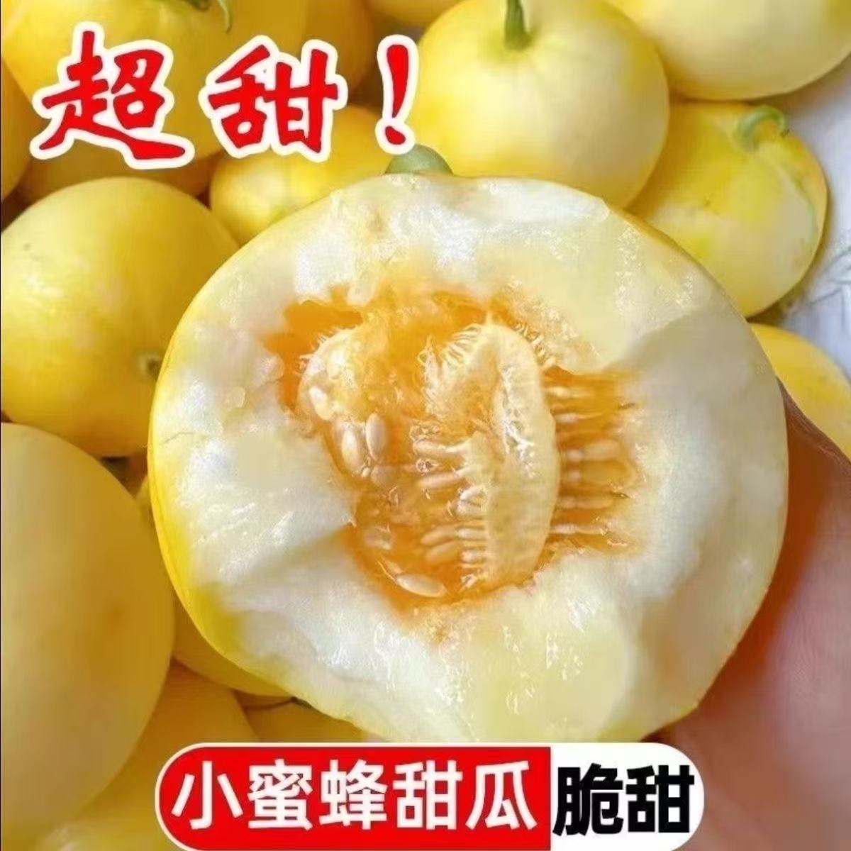 【中通生鲜】山东头茬小蜜蜂甜瓜星甜20应季直供