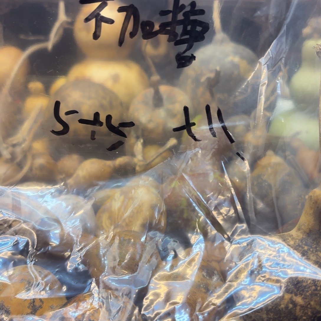 干***糖香榧木哈哈哈哈哈哈哈哈哈