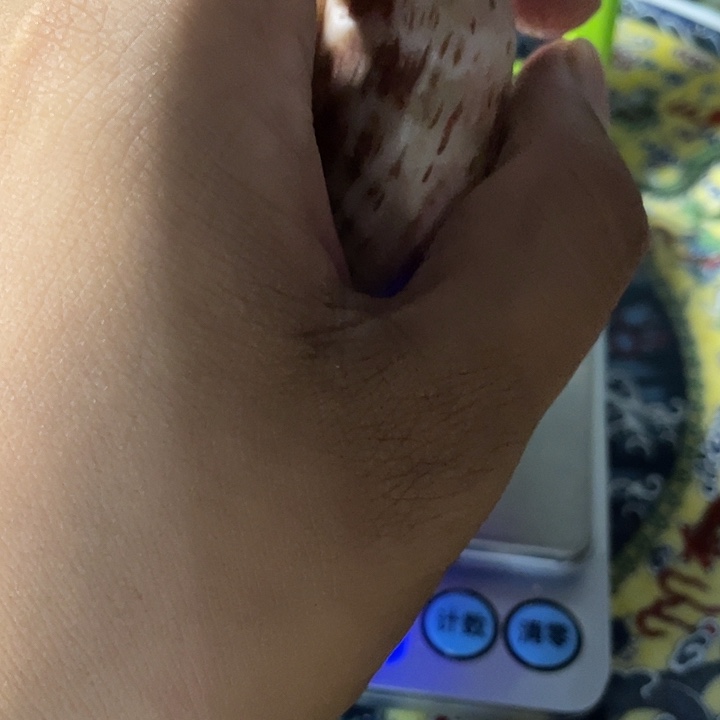 成****其他健健康康快快乐乐