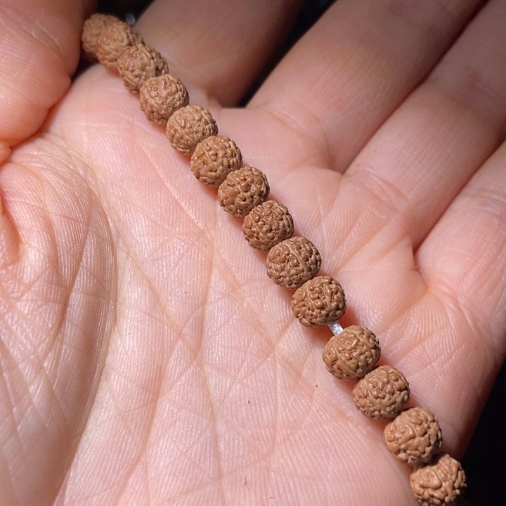 大叶紫檀（黑酸枝木类）A****.108长串