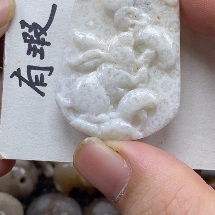 硅化珊瑚（珊瑚玉）未镶嵌颈饰