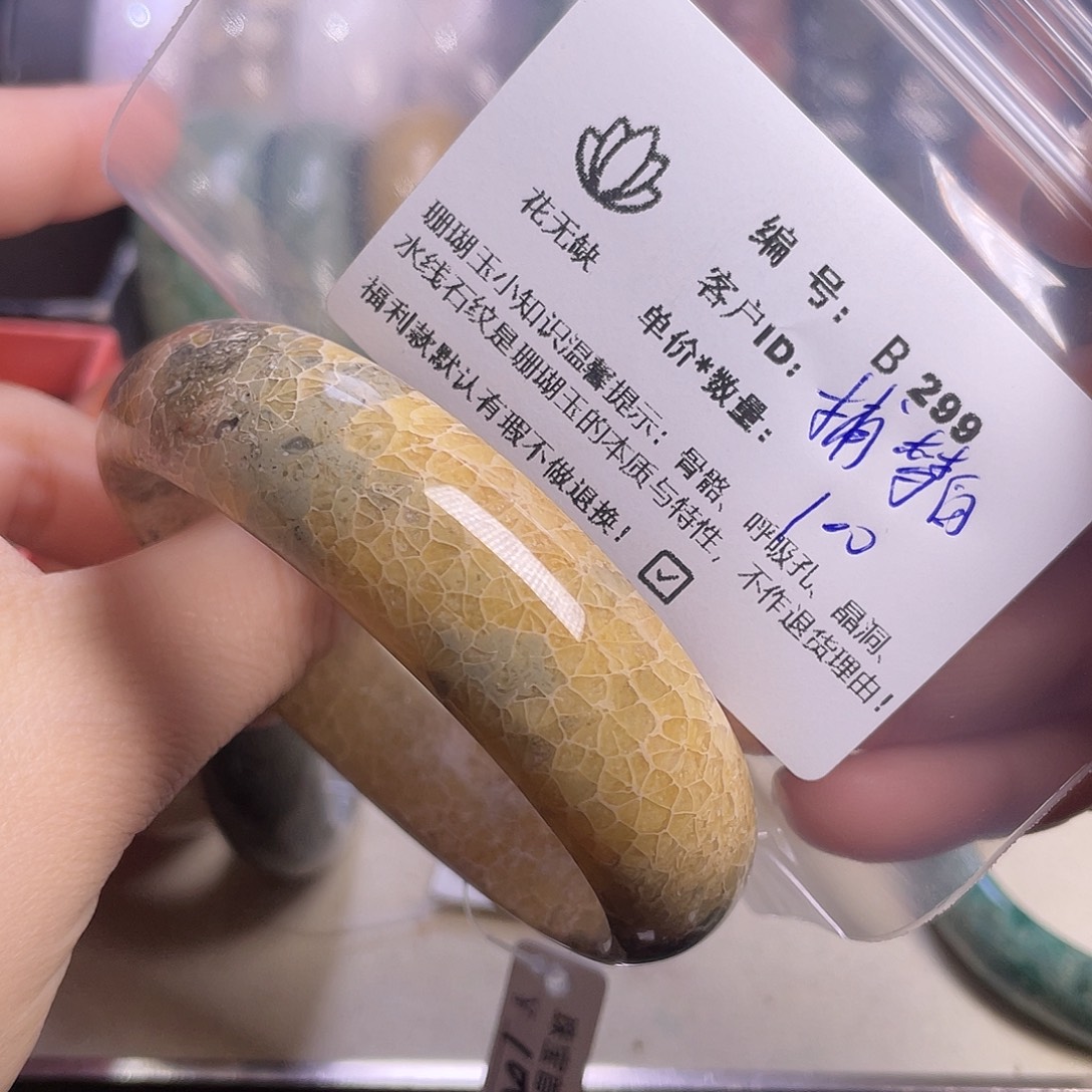 捕***鱼硅化玉未镶嵌手镯