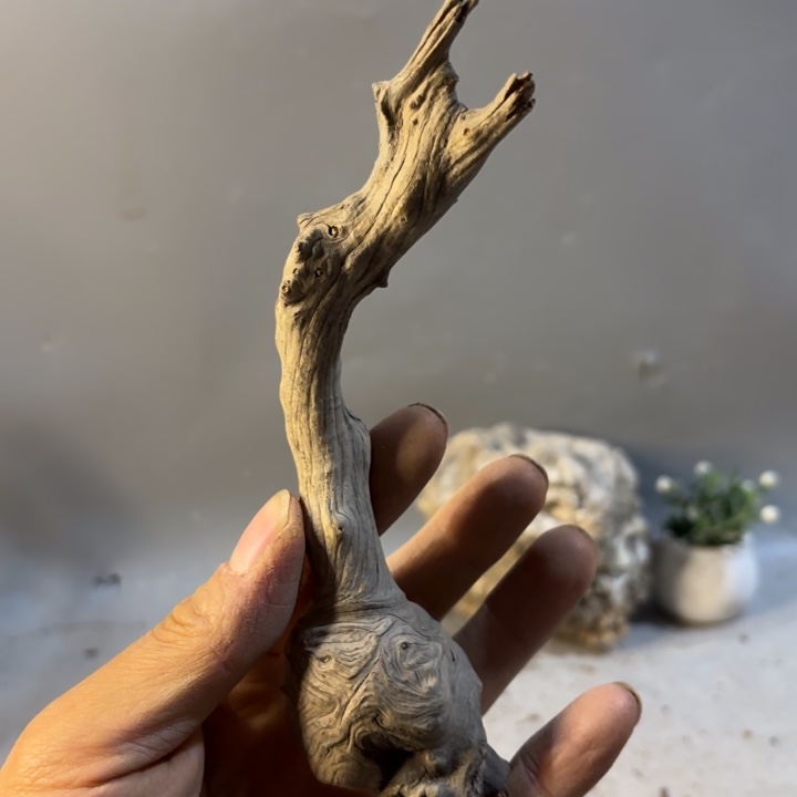 福***.崖柏菩萨云纹理把件坨坨