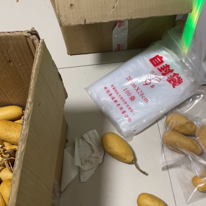 小***葫哈哈哈哈哈哈哈哈哈哈哈哈