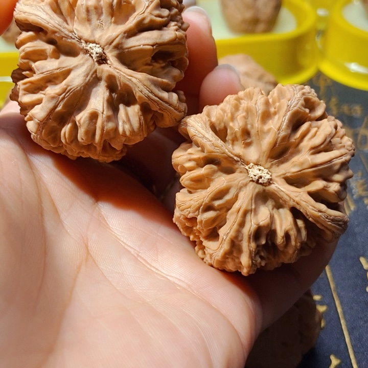 吊坠文玩核桃44大粗筋