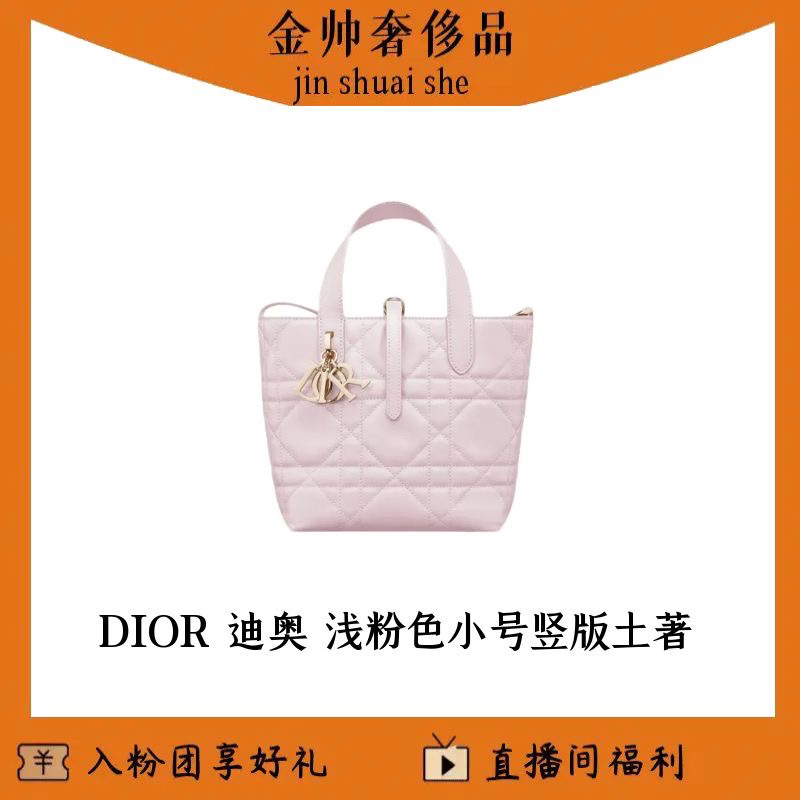 99新 DIOR/迪奥 浅粉色/土著/小号/竖版/单肩包/B6525